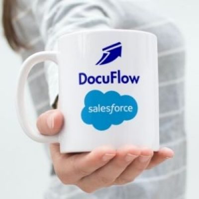 Mok Salesforce - Documizers